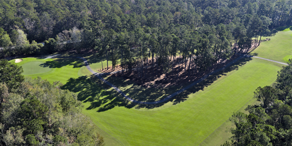 Wild Wing Golf Course Conway, SC Minutes from Myrtle Beach