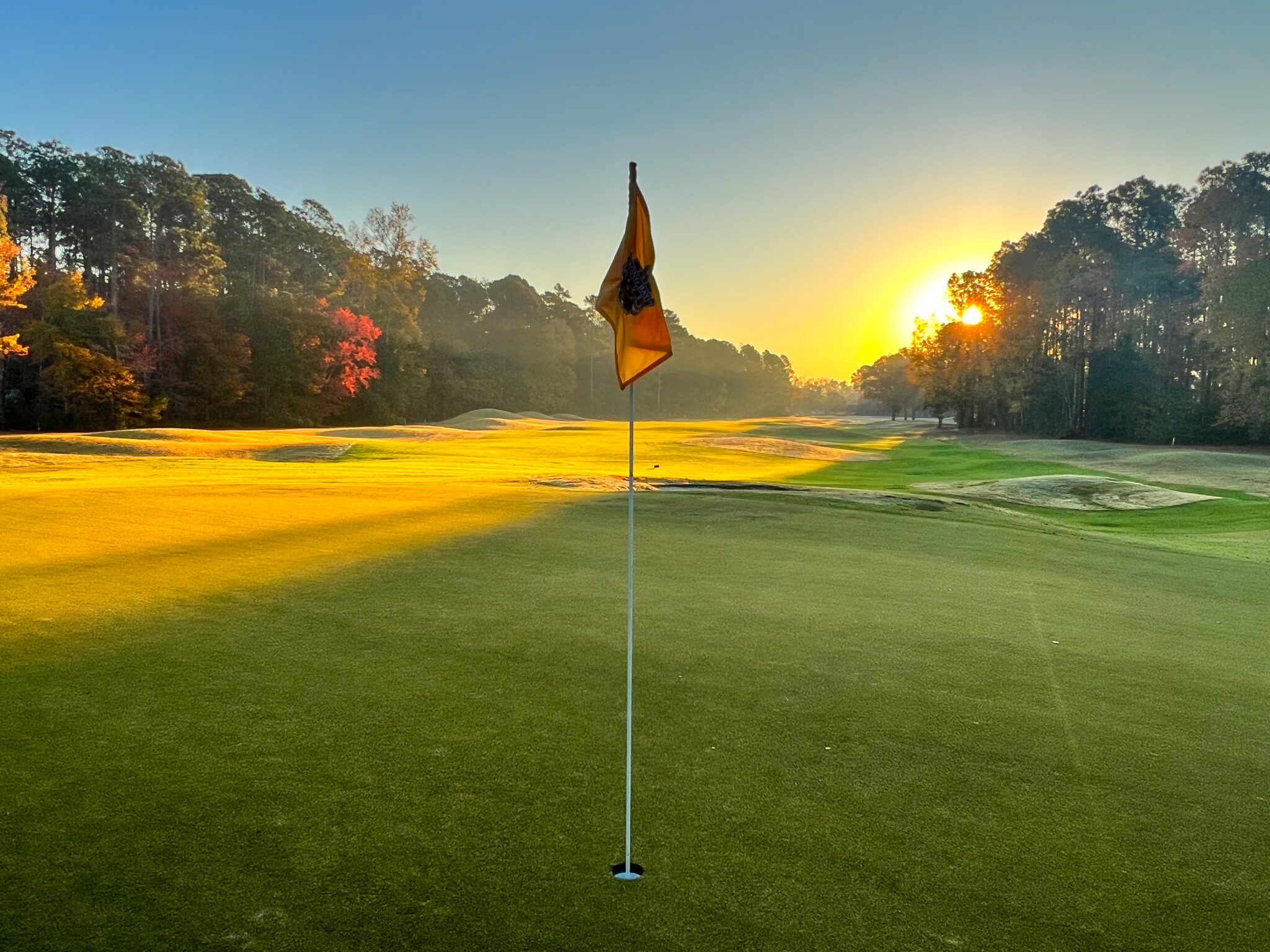 Greens, Courses, and More Myrtle Beach Golf's 2024 Outlook Myrtle